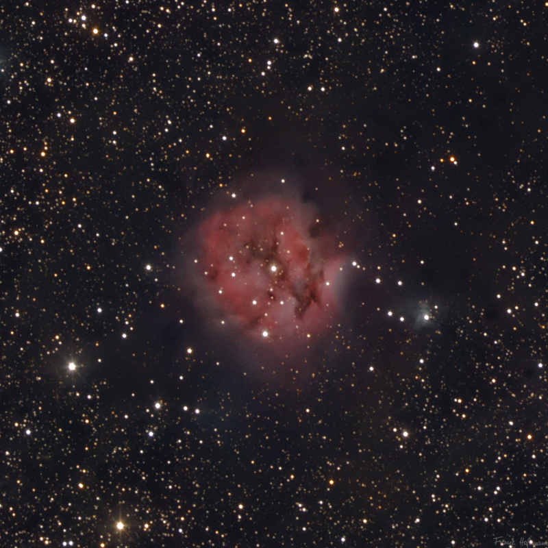 IC 5146